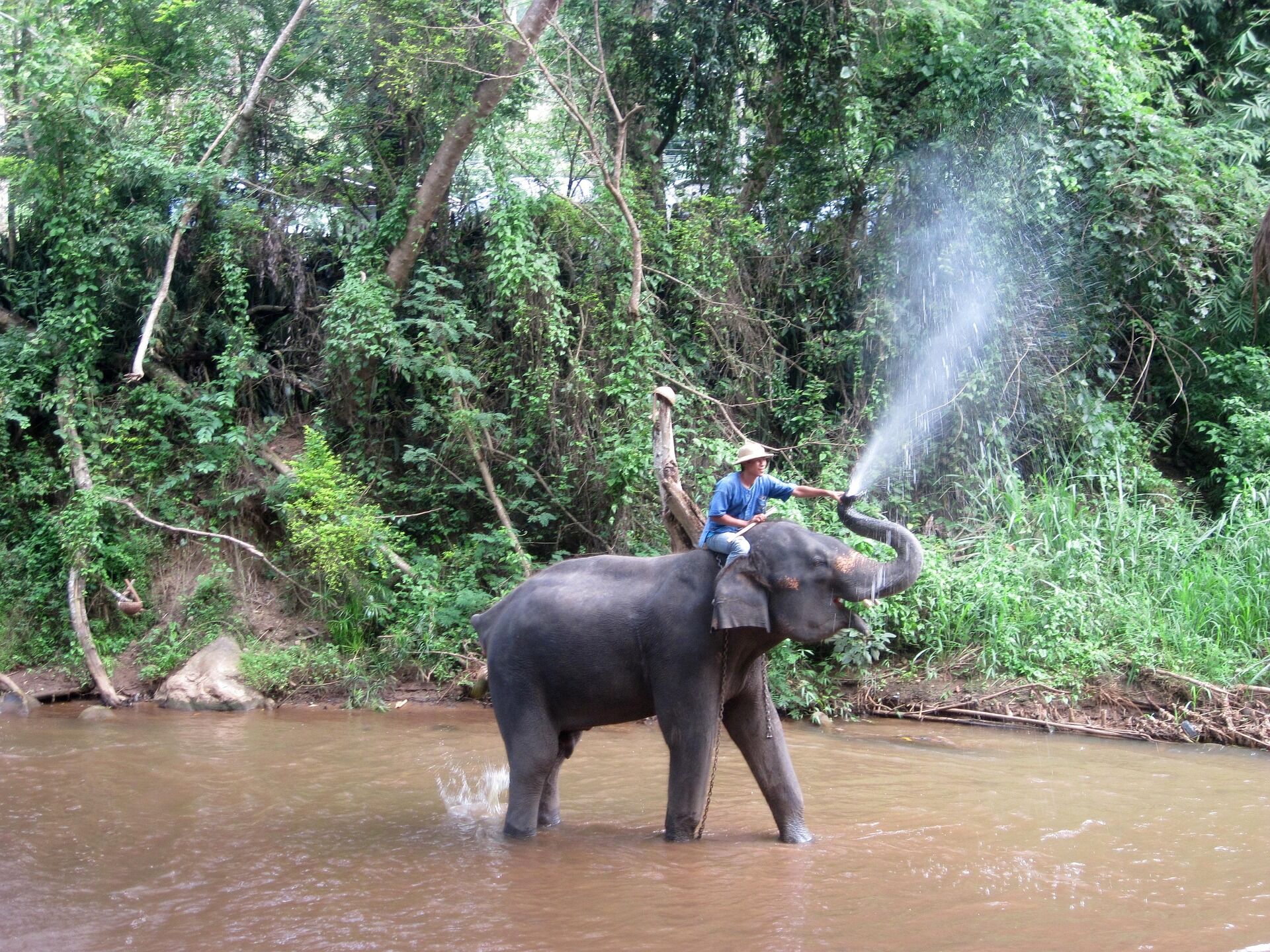 Learn Mae Klong’s culture with expert guidance